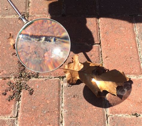 Can a magnifying glass burn leaf?